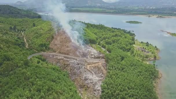 Дим, що горить у лісі джунглів — стокове відео