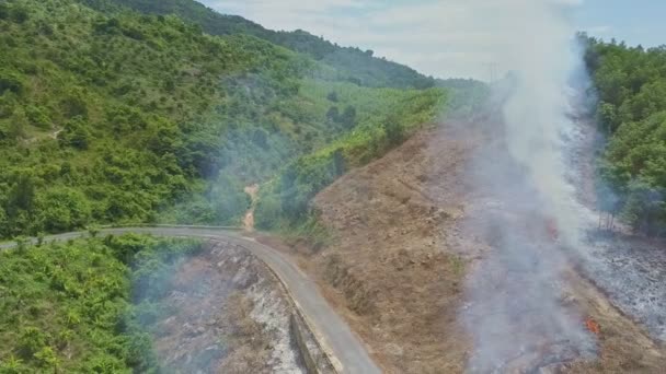 불타는 정글 숲에서 연기 — 비디오