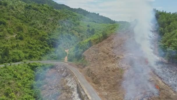 Humo ardiendo en la selva — Vídeo de stock