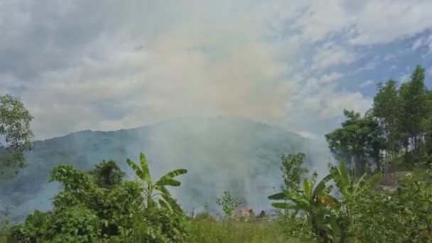 combustion de fumée dans la forêt de jungle 