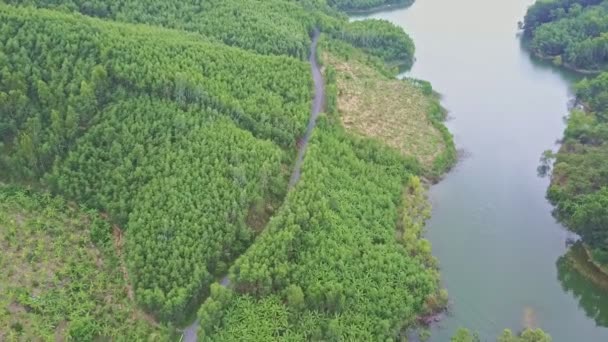 Highland med tropisk skog och sjö — Stockvideo