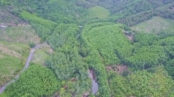 Високогір'я з тропічним лісом і озером — стокове відео
