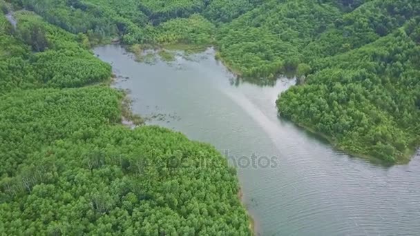 Highland com floresta tropical e lago — Vídeo de Stock