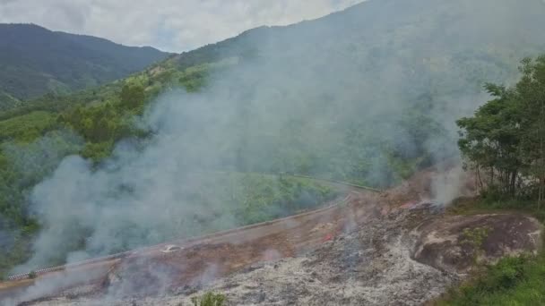 combustion de fumée dans la forêt de jungle 