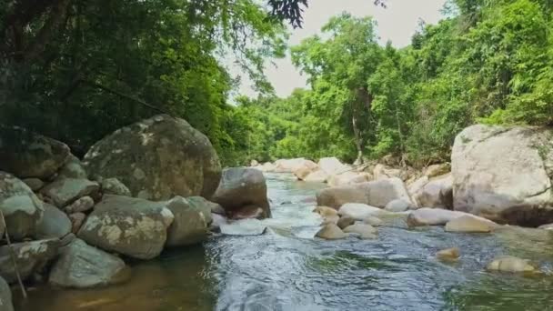 Горная река с каскадами порогов и скал — стоковое видео