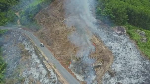 Fumo che brucia nella foresta della giungla — Video Stock