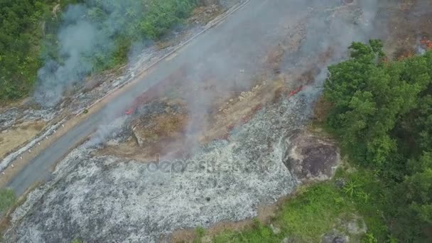 combustion de fumée dans la forêt de jungle 