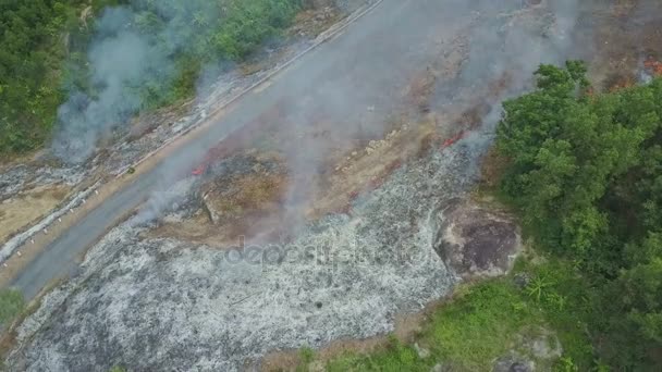 Rök brinnande i djungeln skogen — Stockvideo