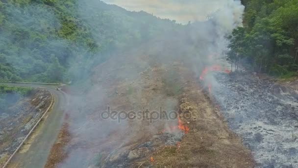 Fumaça queimando na floresta da selva — Vídeo de Stock