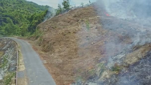 combustion de fumée dans la forêt de jungle 