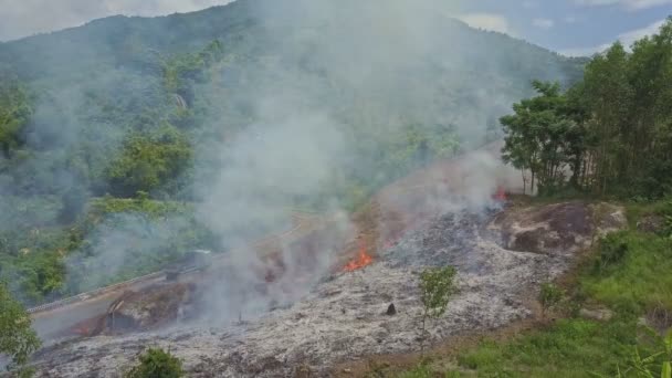 Rök brinnande i djungeln skogen — Stockvideo