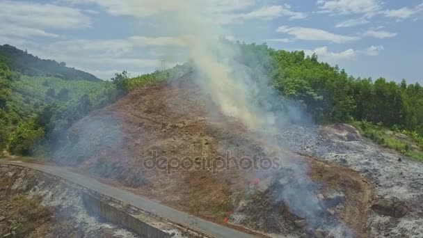 combustion de fumée dans la forêt de jungle 