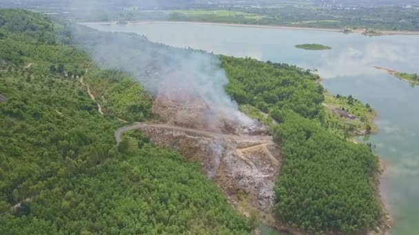 Fumul arde în pădurea junglei — Videoclip de stoc
