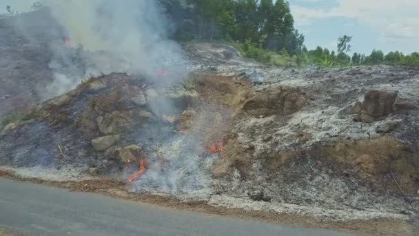 combustion de fumée dans la forêt de jungle 