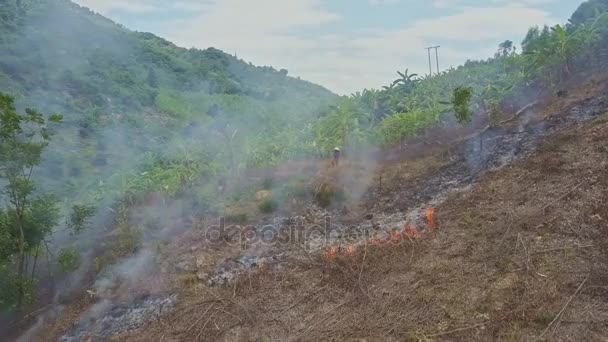combustion de fumée dans la forêt de jungle 