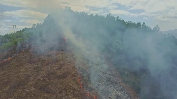 combustion de fumée dans la forêt de jungle 