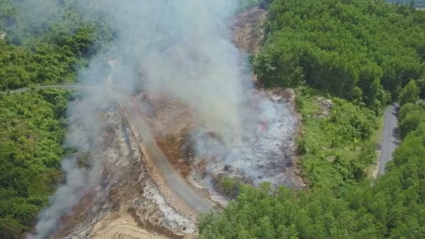 Rök brinnande i djungeln skogen — Stockvideo