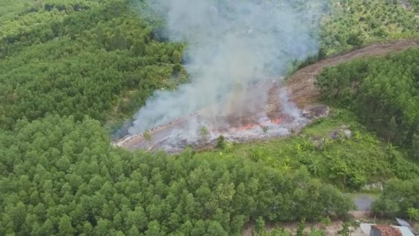 combustion de fumée dans la forêt de jungle 