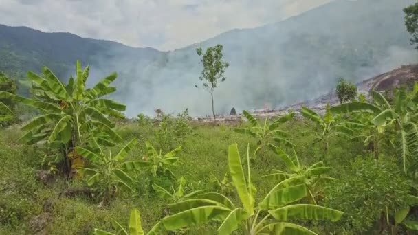 combustion de fumée dans la forêt de jungle 