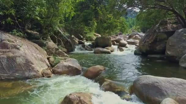 Rio de montanha com cascatas de corredeiras e rochas — Vídeo de Stock