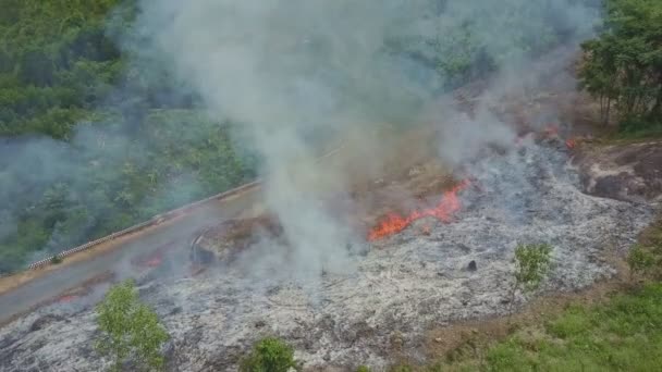 Humo ardiendo en la selva — Vídeo de stock