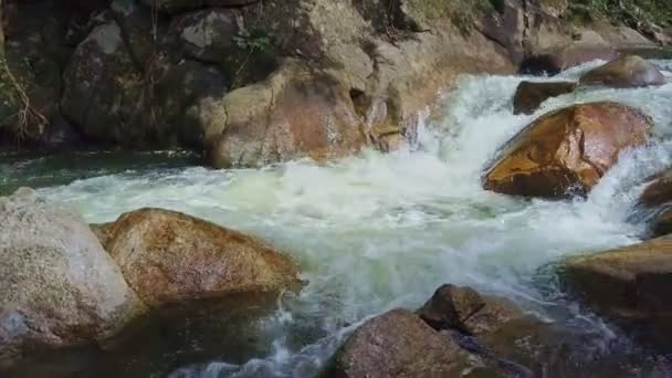 Río de montaña con cascadas de rápidos y rocas — Vídeos de Stock