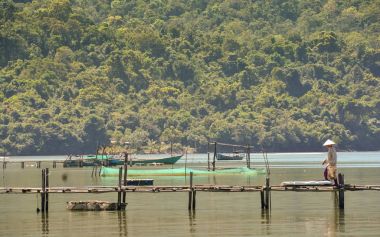 Balıkçı tekneleri karşı ahşap iskele üzerinde 