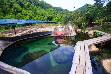 Tropikal Park şeffaf su birikintisi 