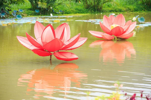 Lotusblumen und Spiegelung im Parkteich — Stockfoto