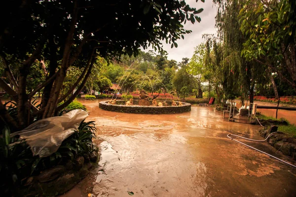 Hoek van tropisch park met fontein — Stockfoto
