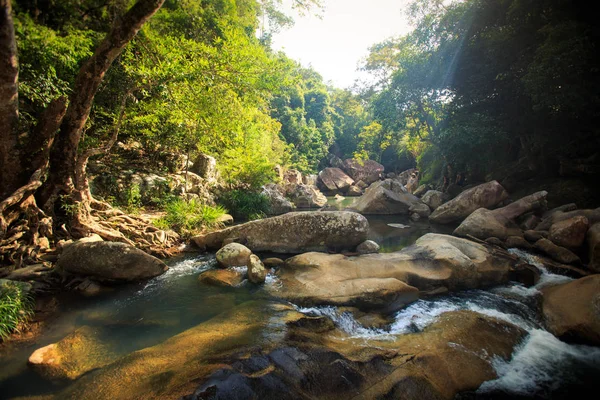 ベトナムの熱帯林の岩の間の小さな山川のパノラマをクローズ アップ — ストック写真