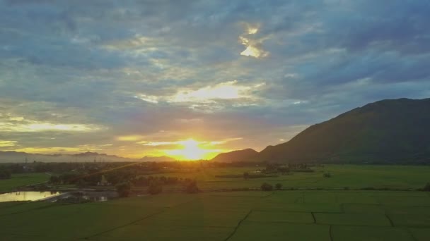 Campos de arroz perto da aldeia vietnamita ao nascer do sol — Vídeo de Stock