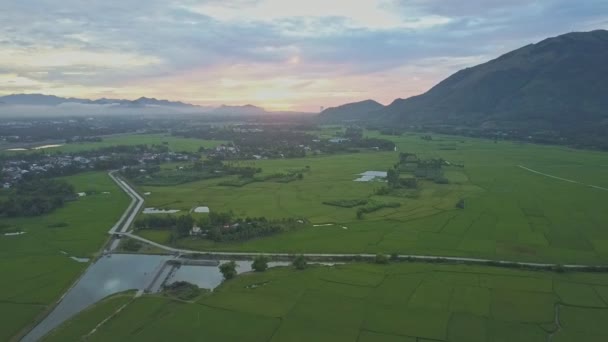 Рисовые поля рядом с вьетнамской деревней на рассвете — стоковое видео