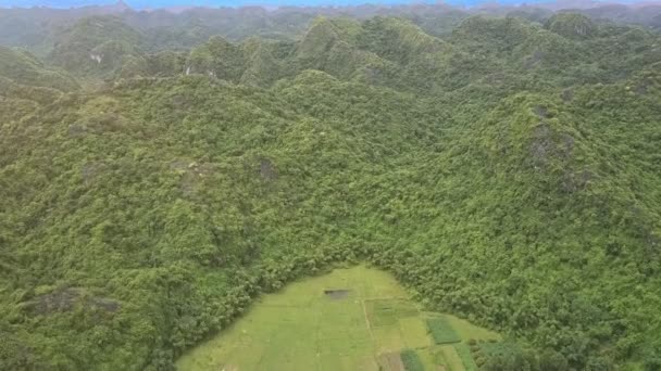 Boerderij velden onder grenzeloze tropische jungle — Stockvideo