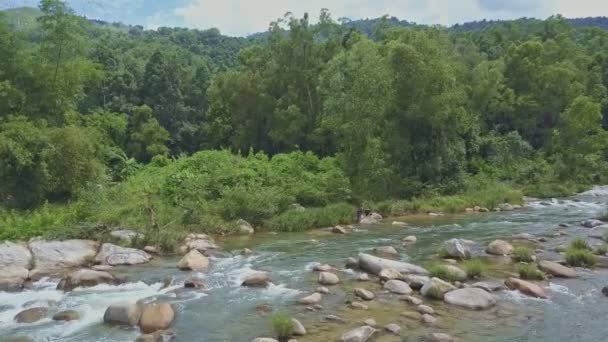 Chicos de pie por piedras en el río de montaña — Vídeos de Stock