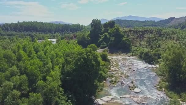 Fiume roccioso di montagna tra la giungla — Video Stock