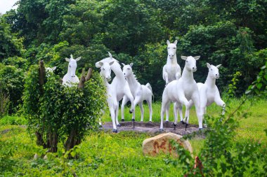 Beyaz Lamas heykel Park'ta çimenlerin üzerinde