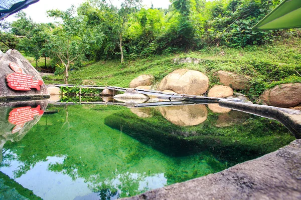 Reflexión del estanque en el parque —  Fotos de Stock