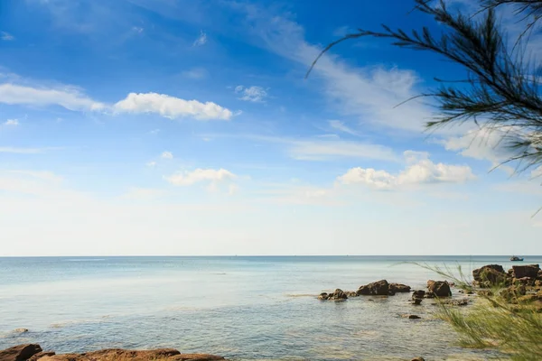 Diferentes Rocas Pequeñas Agua Cerca Costa Rama Esponjosa Del Árbol — Foto de Stock