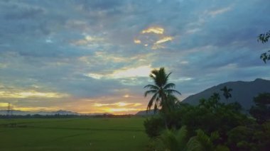 pirinç tarlaları gündoğumu, Vietnamca village yakınındaki