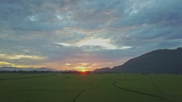 Reisfelder nahe vietnamesischem Dorf bei Sonnenaufgang — Stockvideo