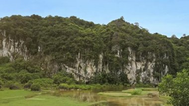 tropikal orman ile kaplı uçurumlar