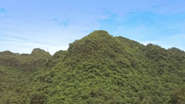 Tierras altas cubiertas de exuberantes plantas tropicales — Vídeos de Stock