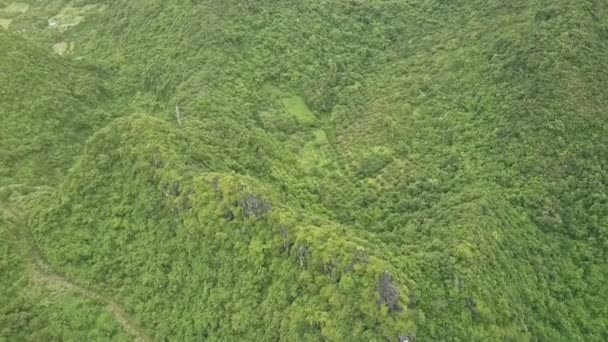 Montañas cubiertas de profundos bosques tropicales — Vídeo de stock