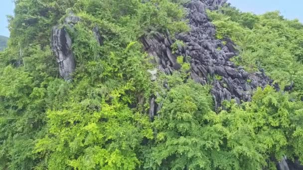 Montaña cubierta de selva profunda — Vídeos de Stock