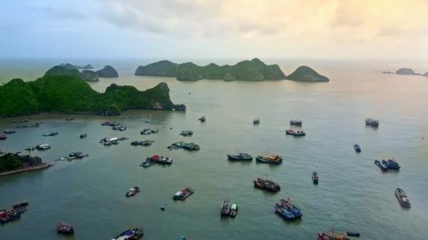 Ocean bay with boats and ships against islands — Stock Video