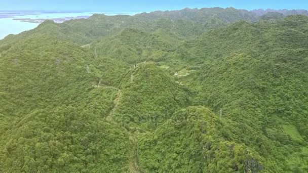 Montagnes couvertes de bois tropicaux profonds — Video