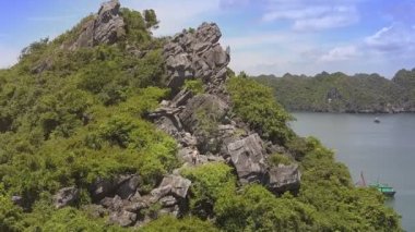 uçurum Adası tropik bitkilerle kaplı
