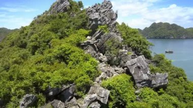 dağ tropik bitkiler ve kız selfie yapma