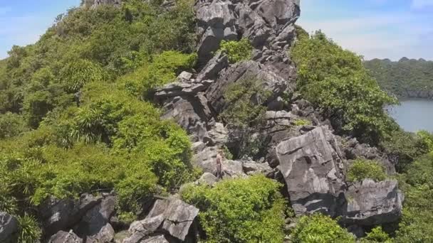 Isola rocciosa coperta di piante tropicali — Video Stock